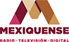 logo_Mexiquense